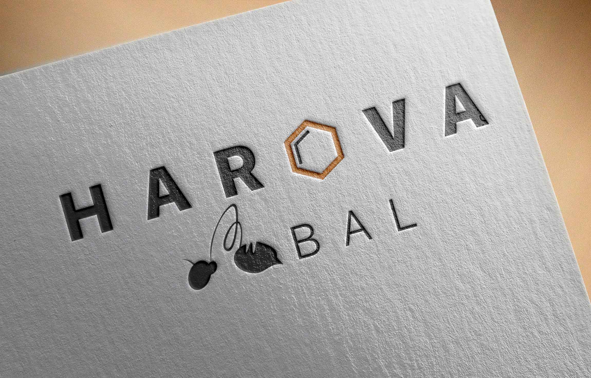 Portfolio Images