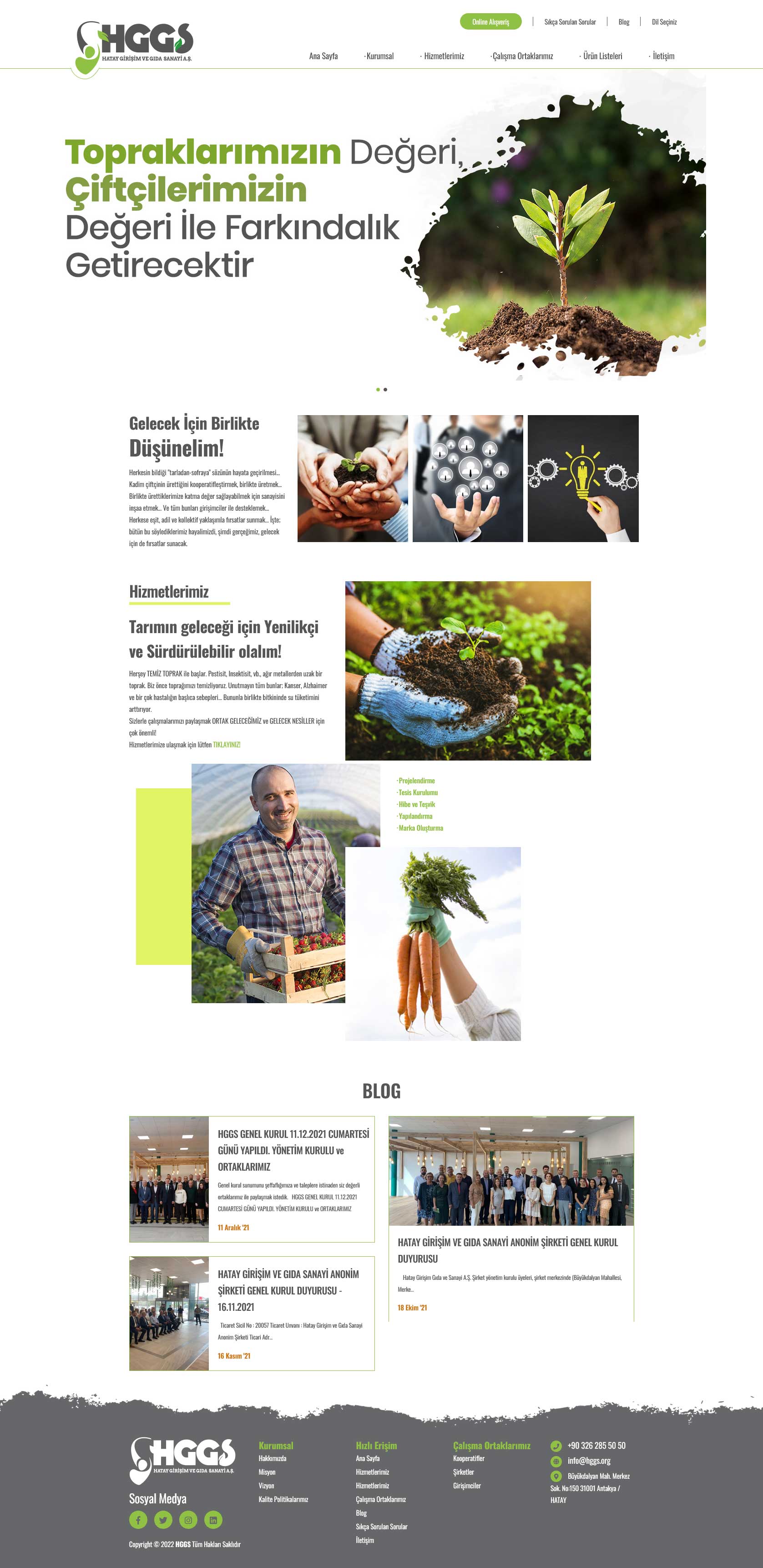 Portfolio Images