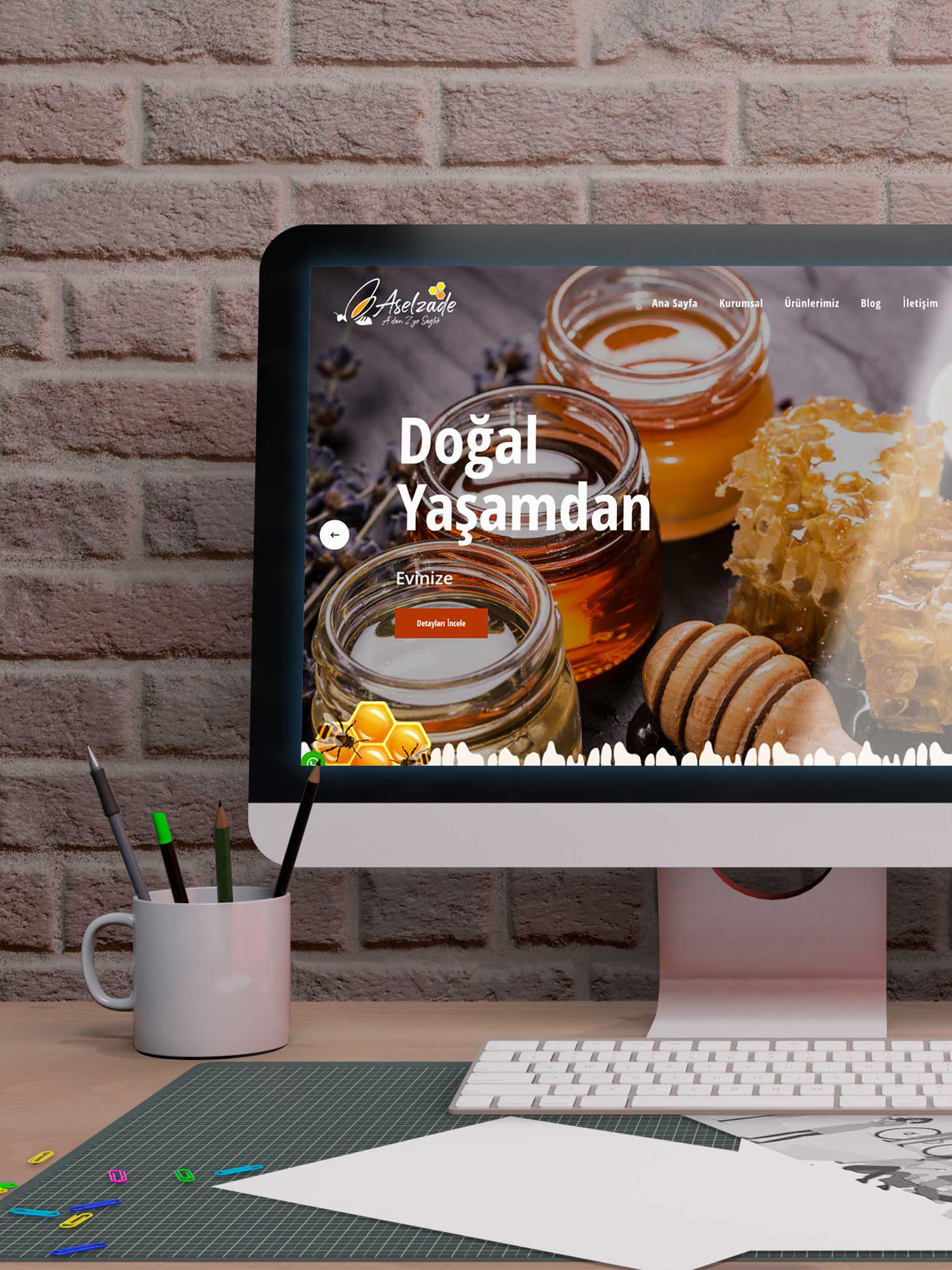 Aselzade 